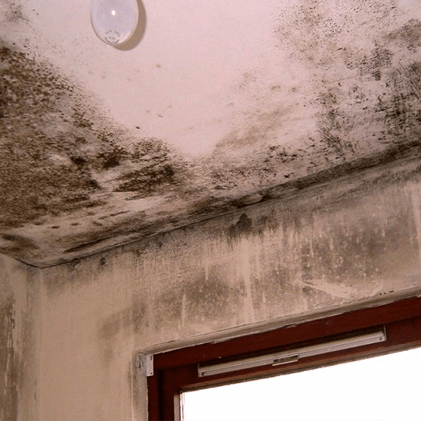 Duvardaki İs Lekesi Nasıl Temizlenir? Pratik Yöntemler! : Kapak Görseli